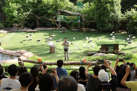 Nhân viên khu bảo tồn động vật bán hoang dã Vinpearl Safari Phú Quốc đang giới thiệu về các loài thú quý hiếm. 